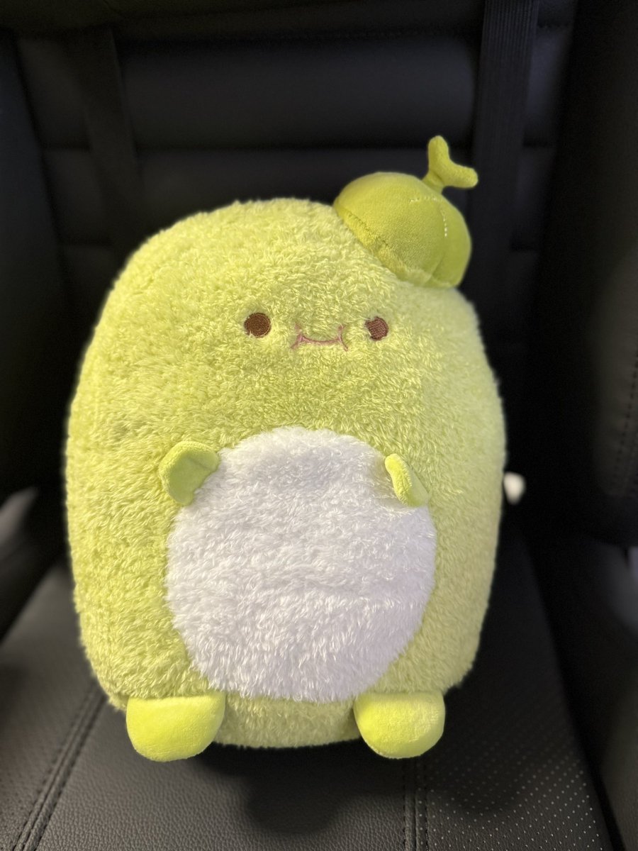 Zoey🌸 tweet media