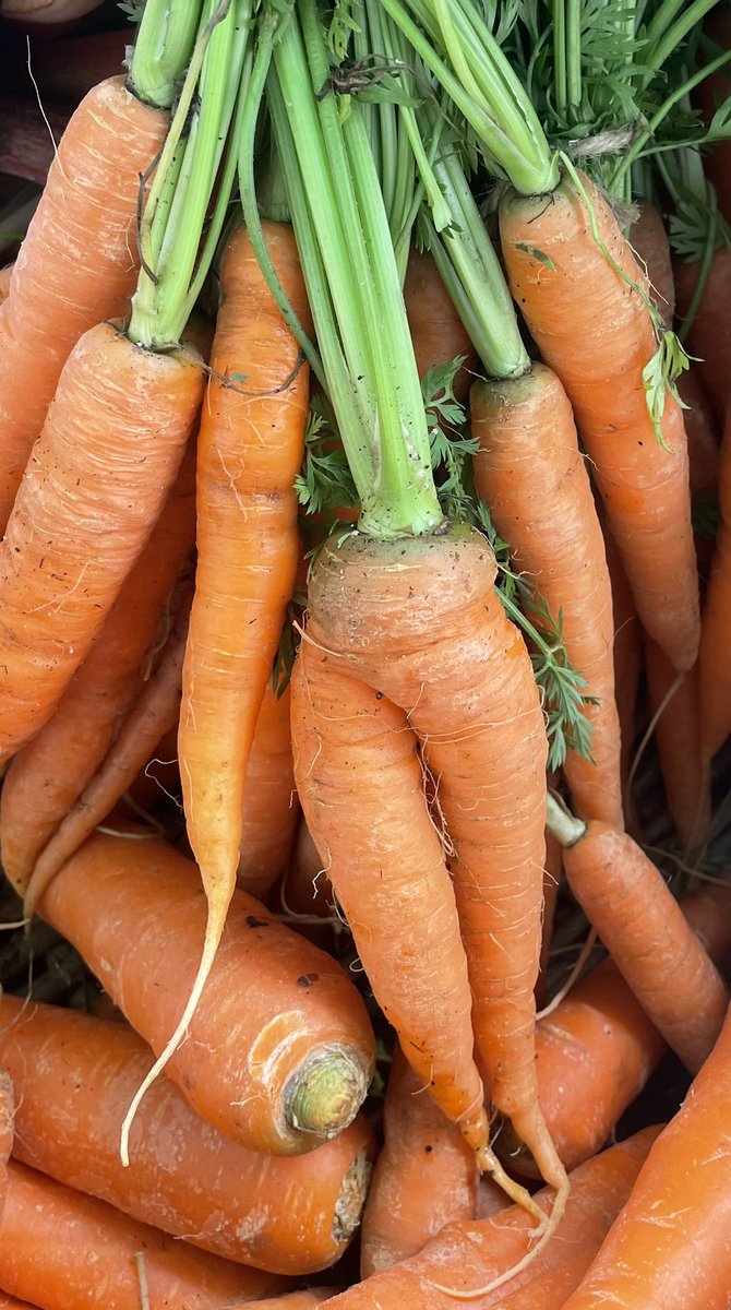 FoodFloat tweet media