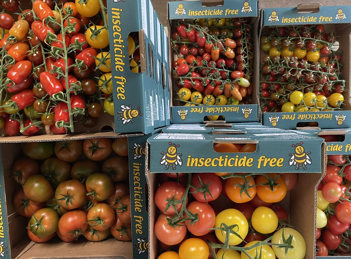 FoodFloat tweet media