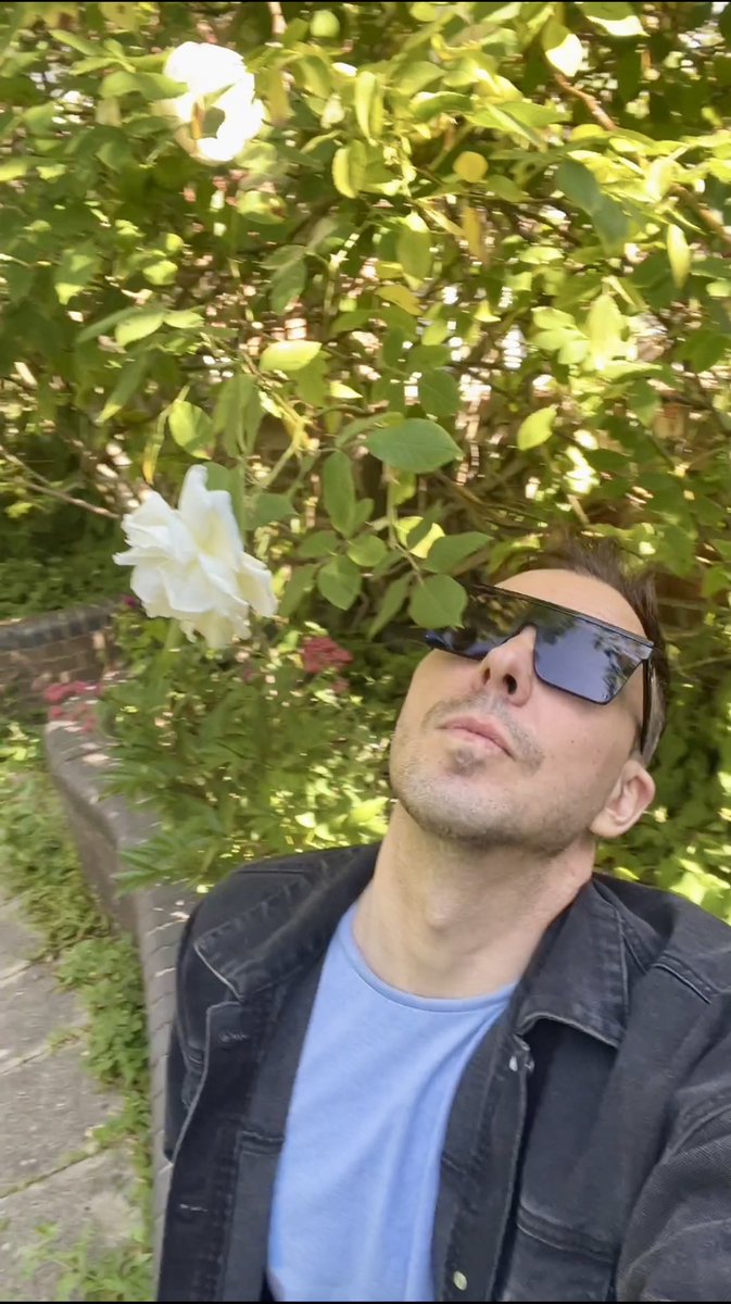 White roses with a scent still my NUMBER ONE. 

open.spotify.com/playlist/0ghSx…

#garden #roses #boyslikeflowers