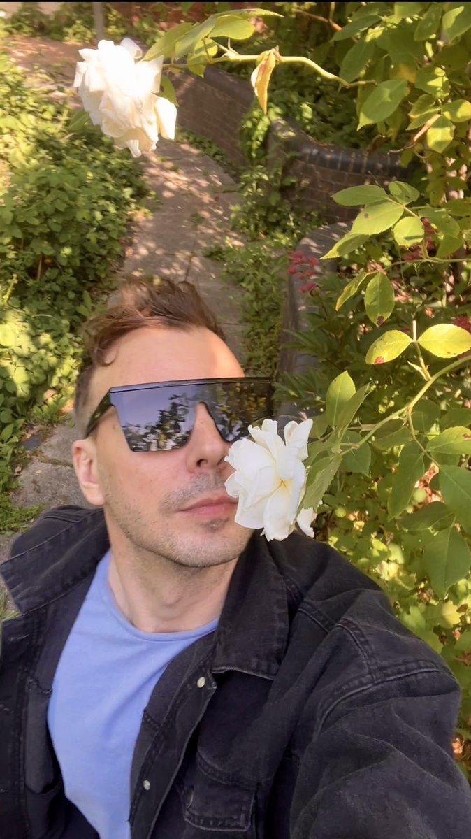 Christianoshi's tweet image. White roses with a scent still my NUMBER ONE. 

open.spotify.com/playlist/0ghSx…

#garden #roses #boyslikeflowers