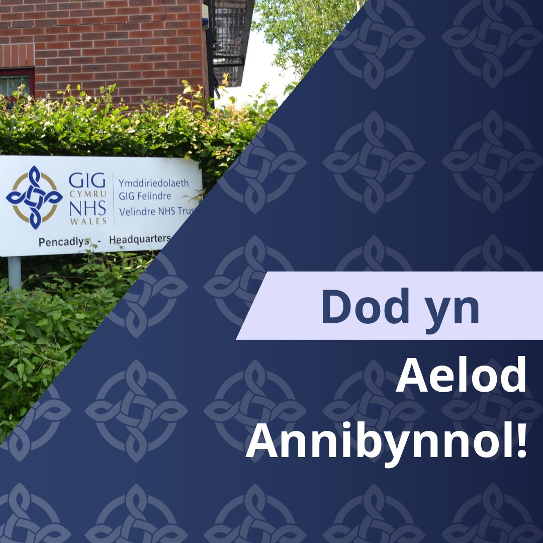 ⭐ Mae Ymddiriedolaeth GIG Prifysgol Felindre yn chwilio am ddau unigolyn eithriadol i ymuno â’n Bwrdd fel Aelodau Annibynnol.

🔵 Cyllid Aelod (Annibynnol)
 ow.ly/sKSj50VURrb

🔵 Aelod Annibynnol (Cyffredinol)
ow.ly/b7iU50VURrc