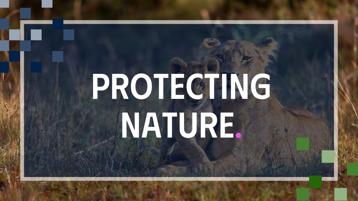 🌍 | Species are going extinct at an unprecedented rate. 

Find out how Oxford experts are protecting nature against further biodiversity loss and driving global conservation efforts. ⬇️
ox.ac.uk/climate-and-en…

#OxfordClimate