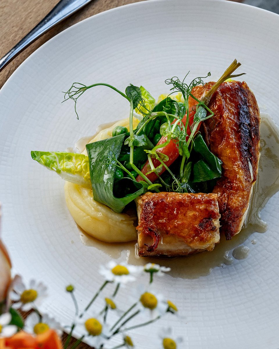 A true taste of springtime on a plate. Savour our à la carte menu’s roast corn-fed chicken: Served with its garden peas, baby carrots, onion grelot, wild garlic, and chicken jus, this meaty main course is a must-try.

#springseason #seasonalfood #londonrestaurant #londonfoodguide