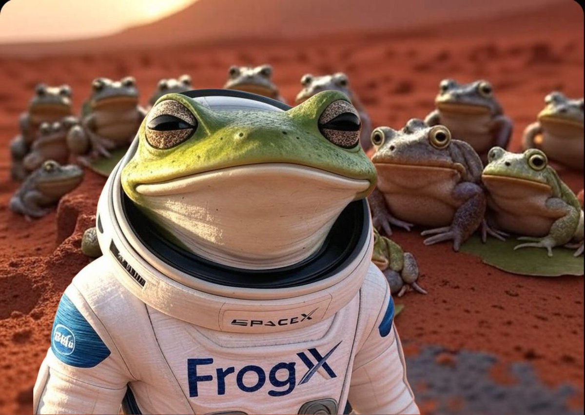 FrogXcoin's tweet photo. @Bybit_Official That's an easy one 🐸 

$FrogX https://t.co/DiUvZNYsXh