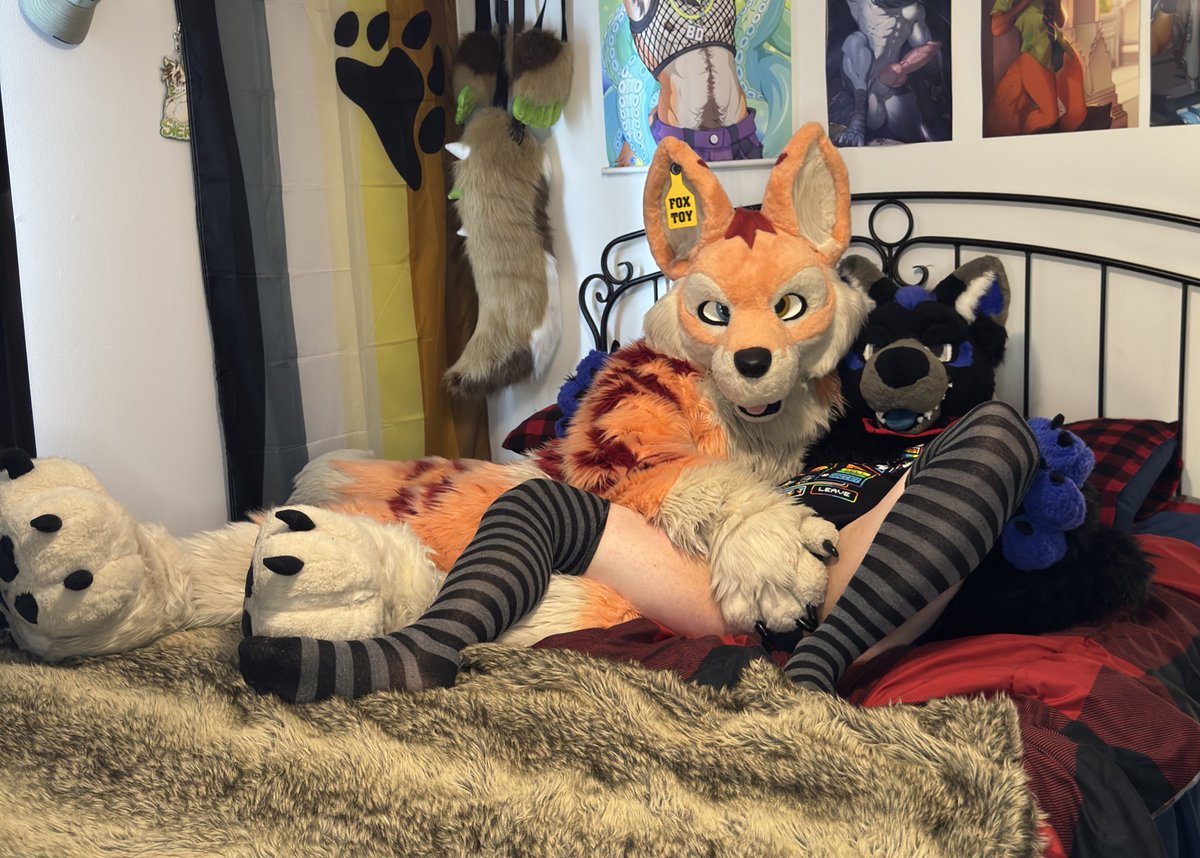 This cute fox toy have naughty paws…
🦊: <a href="/MuzoFox/">Muzo Fox</a> 
🐺: <a href="/SkywayWolf/">Skyway</a> 
#Furry #Fursuit #Fursuiter #Furryfemboy #Femboy #Furryfandom #Furrycommunity #Fennec #Fox #Fennecfox #Wolf #Wolfdog #FursuitEveryday #Paw
