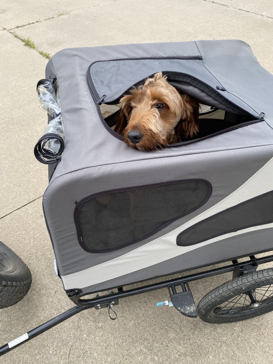 Everyone in Ottumwa Community School District had a dog-gone good time on Walk, Bike &amp; Roll to School Days! Ottumwa was the first to sign up as a whole school district and continues to lead the state in Walk, Bike, Roll Day participation. Go Bulldogs!