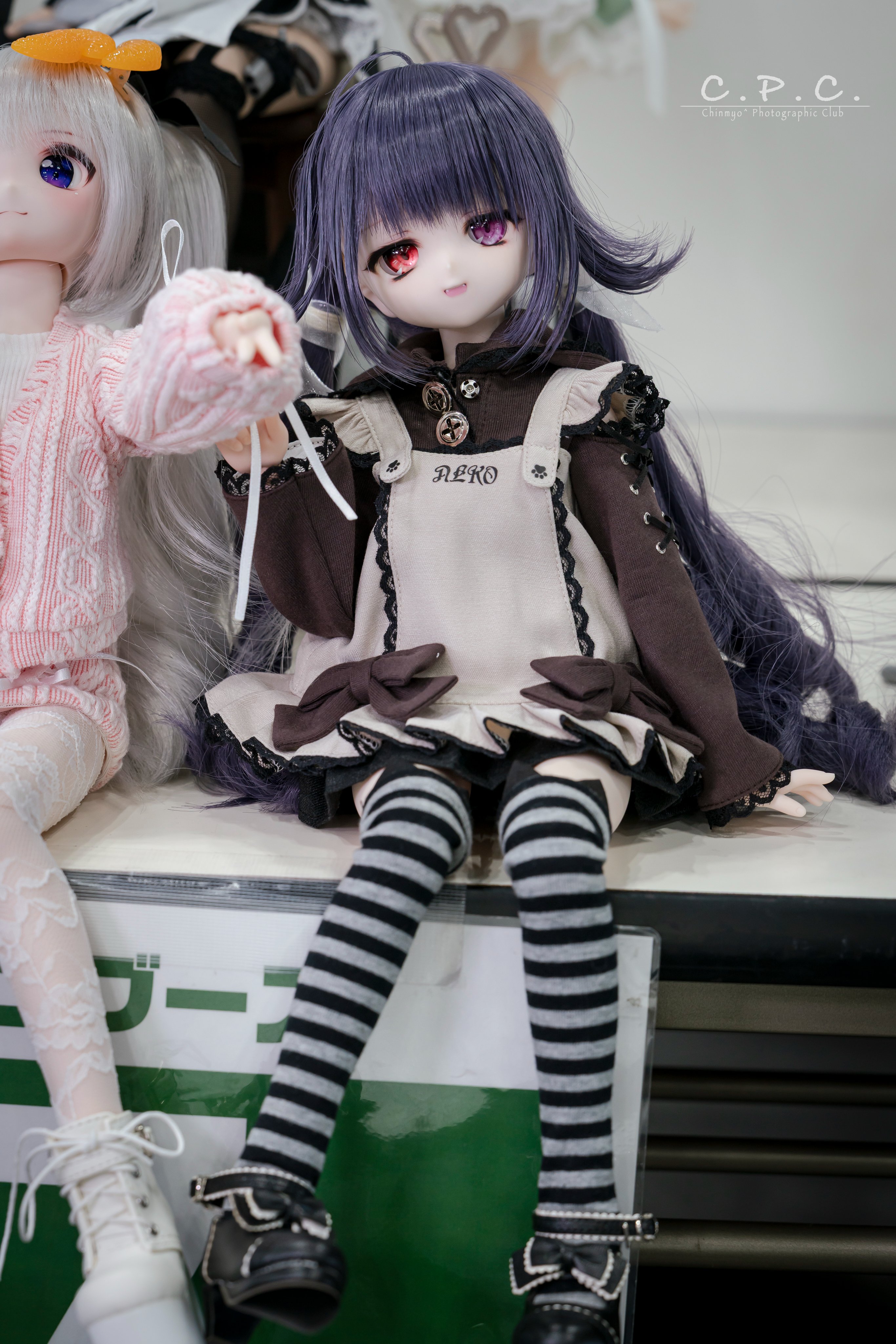 わにわ (@wani_waniwa) / X