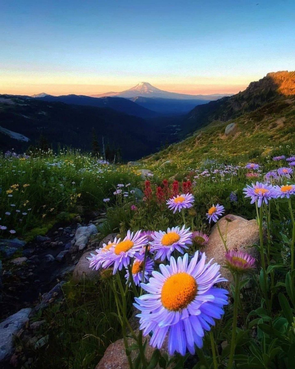 EliaBecks's tweet photo. "The days of live pass like clouds, so do good while you are alive."-Imam Ali
#self_knowledge https://t.co/DeAftnE4sQ