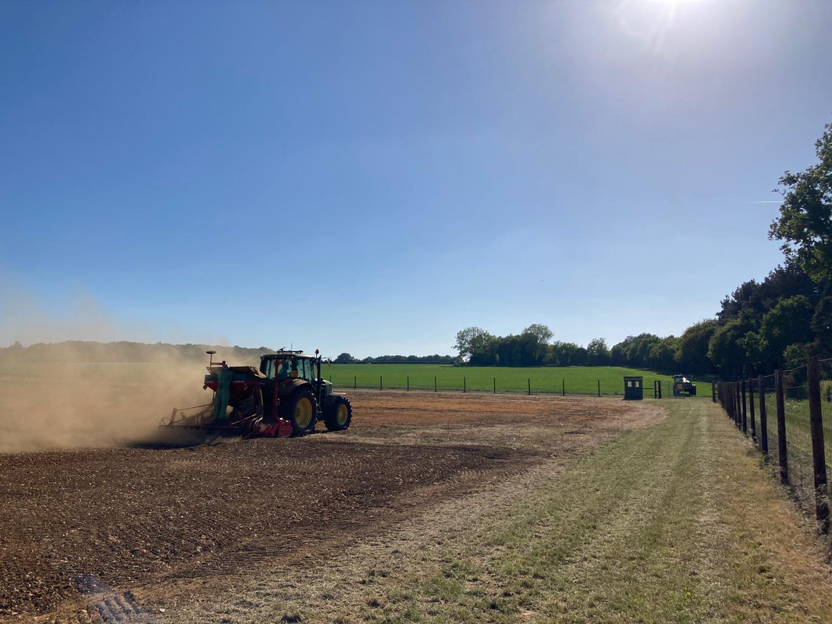 Johnathan Napier (@johnathannapie1) on Twitter photo Another GM camelina field trial successfully drilled this Saturday, under the azure skies of Suffolk. The <a href="/Rothamsted/">Rothamsted Research</a> Farm team of Mark, Samuil & Lewis did a great job in the hot & dusty conditions, but that's what testing in the real world is like. Thx also to <a href="/LihuaRobertson/">Lihua Robertson</a> Another GM camelina field trial successfully drilled this Saturday, under the azure skies of Suffolk. The <a href="/Rothamsted/">Rothamsted Research</a> Farm team of Mark, Samuil & Lewis did a great job in the hot & dusty conditions, but that's what testing in the real world is like. Thx also to <a href="/LihuaRobertson/">Lihua Robertson</a>