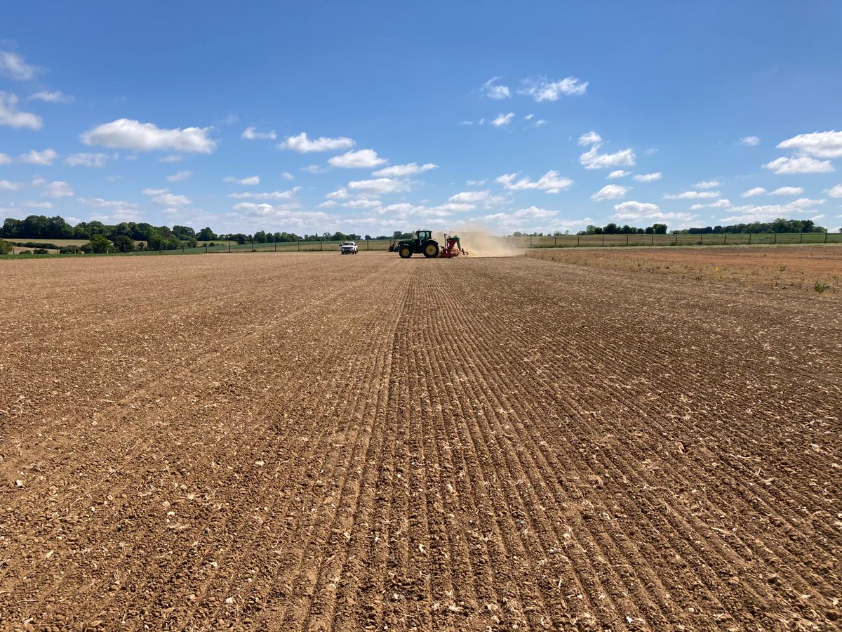 JohnathanNapie1's tweet image. Another GM camelina field trial successfully drilled this Saturday, under the azure skies of Suffolk. The @Rothamsted Farm team of Mark, Samuil & Lewis did a great job in the hot & dusty conditions, but that's what testing in the real world is like. Thx also to @LihuaRobertson