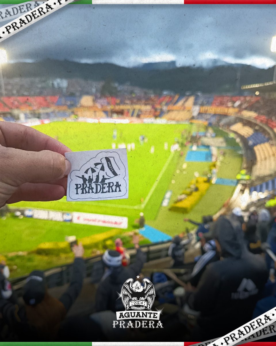 Siguiendo a mi Blanco yo llegaré lejos💥
·
#AguantePradera #AguanteLaBandaDelEje #OnceCaldas #holocaustonorte #BarraBravaColombia #pasto