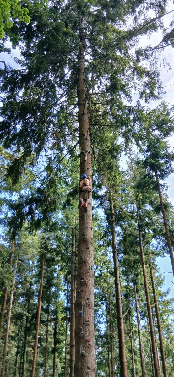 Georgeham CofE Primary School tweet media