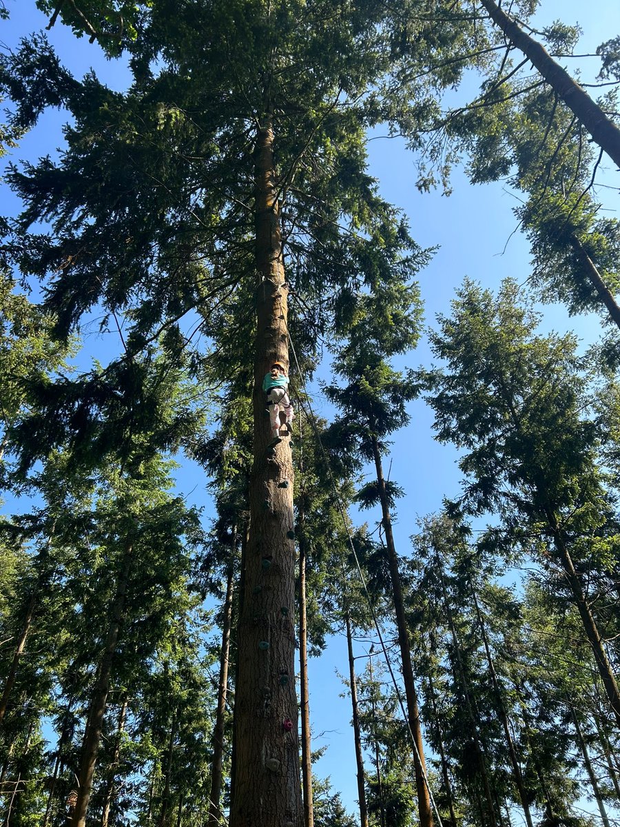 Georgeham CofE Primary School tweet media