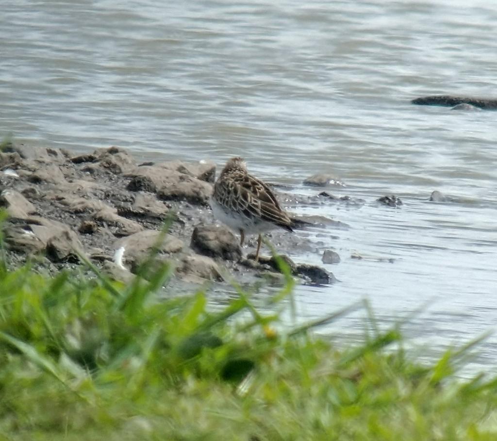 Andrew James tweet media