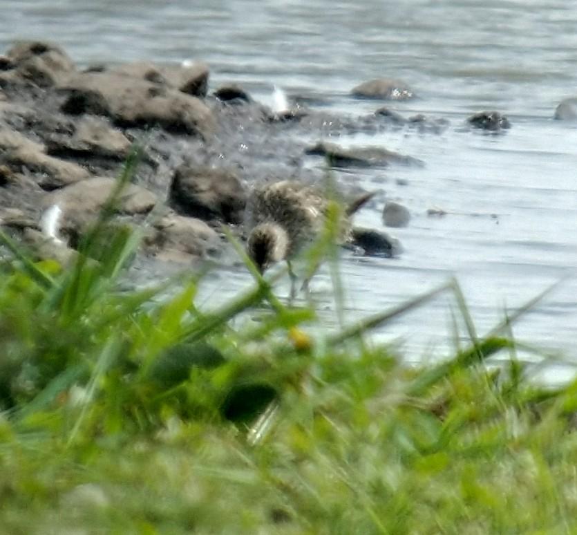 Andrew James tweet media