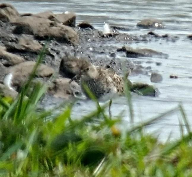 Andrew James tweet media