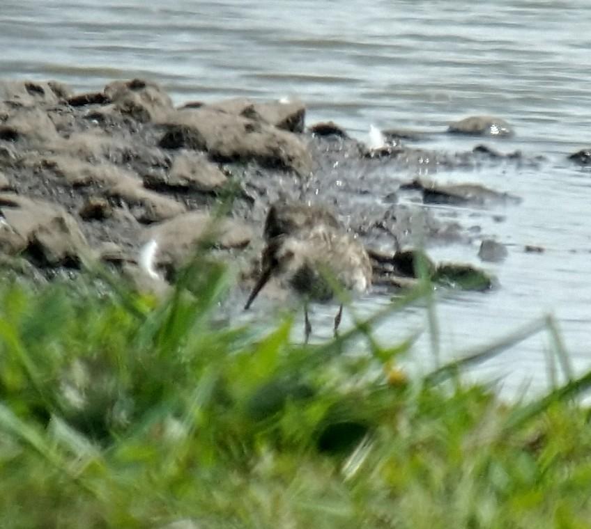 Andrew James tweet media