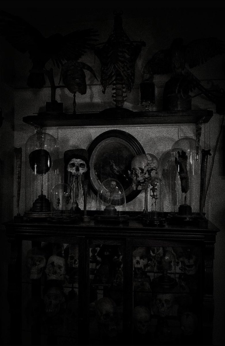 undb1's tweet image. 
