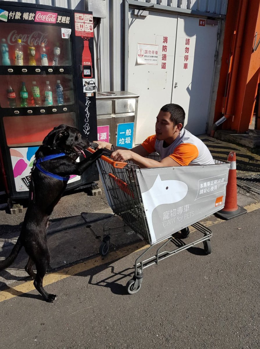 上週六，找鵝子的媽媽來家裡吃飯，也邀了鵝子的弟弟一起，結果意外地，鵝子的把拔也來了。

跟鵝子的緣分是從加油站開始的。當初只是覺得這小子跟年輕的我，實在太像太像了。所以當他說跟把拔吵架、不想回家，我就跟他說：「如果不介意我跟藍是同志伴侶，我房間可以借你睡。」

理由很簡單。