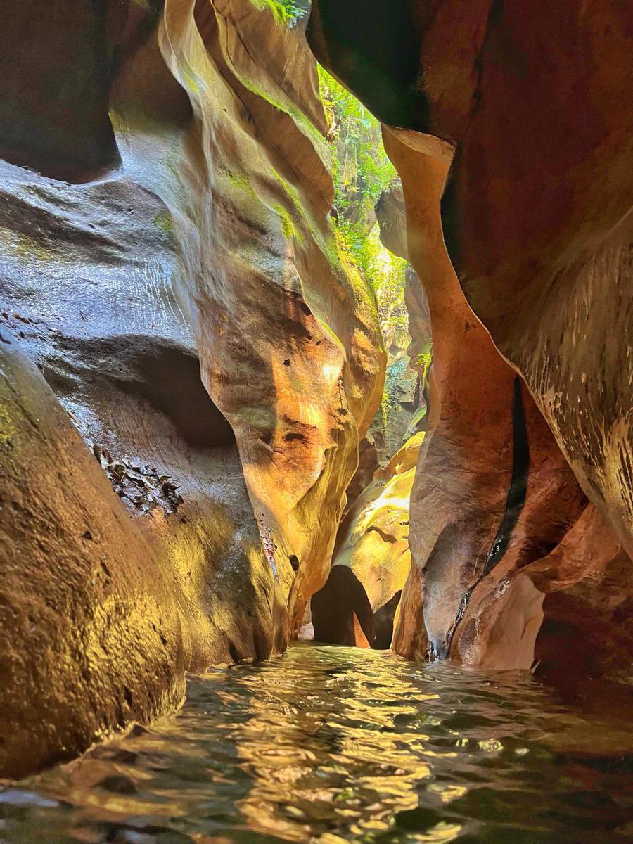 😦 Pocos conoces este impresionante cañón en los llanos de Venezuela. Abro hilo 🧵: