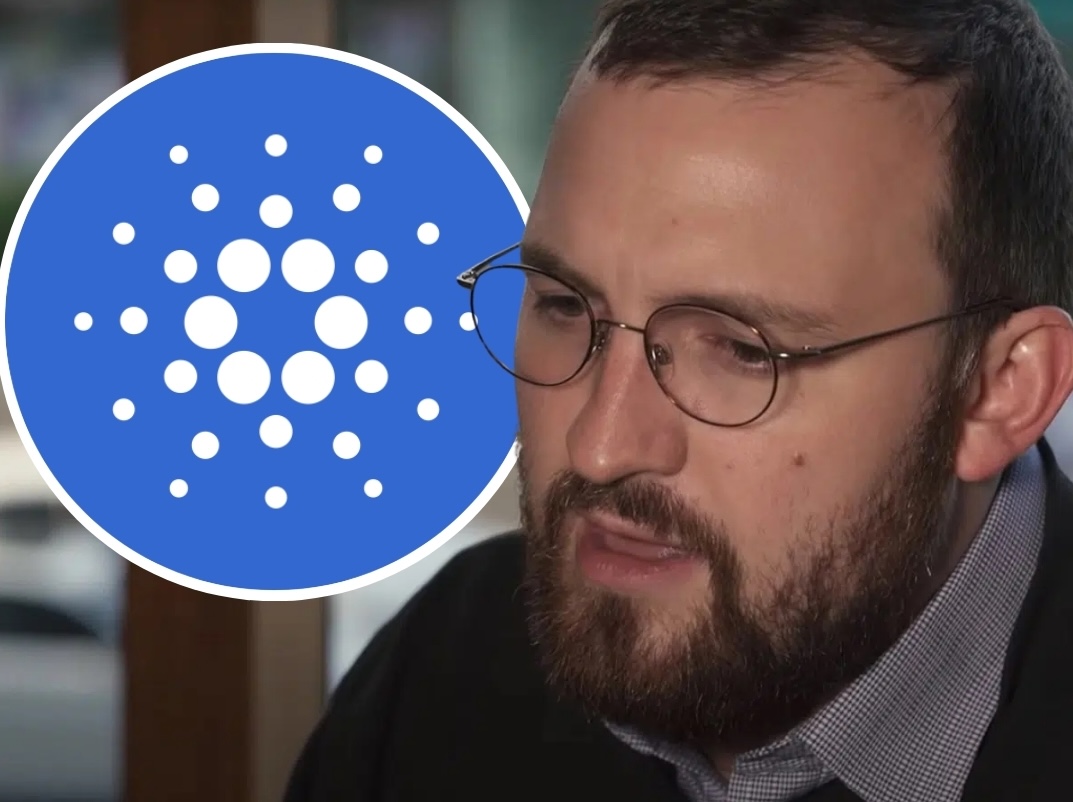 TapTools's tweet image. Like this post if you stand with Cardano founder Charles Hoskinson (@IOHK_Charles) and the values driving this ecosystem forward.