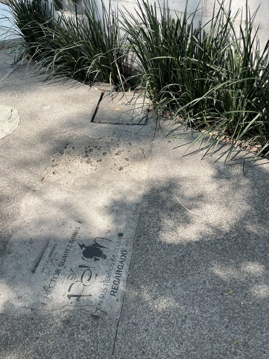 Héctor <a href="/PelonGomis/">Héctor Suárez Gomís</a>; no se si estuviste al tanto de esto, pero pusieron estenciles en toda la manzana del Teatro <a href="/WilbertoCanton/">Teatro SOGEM Wilberto Cantón</a> solo por anunciarte. 
Creo q como ciudadanos no podemos exigir q políticos no llenen de basura las calles y nosotros la sociedad civil hacerlo.
Mira: