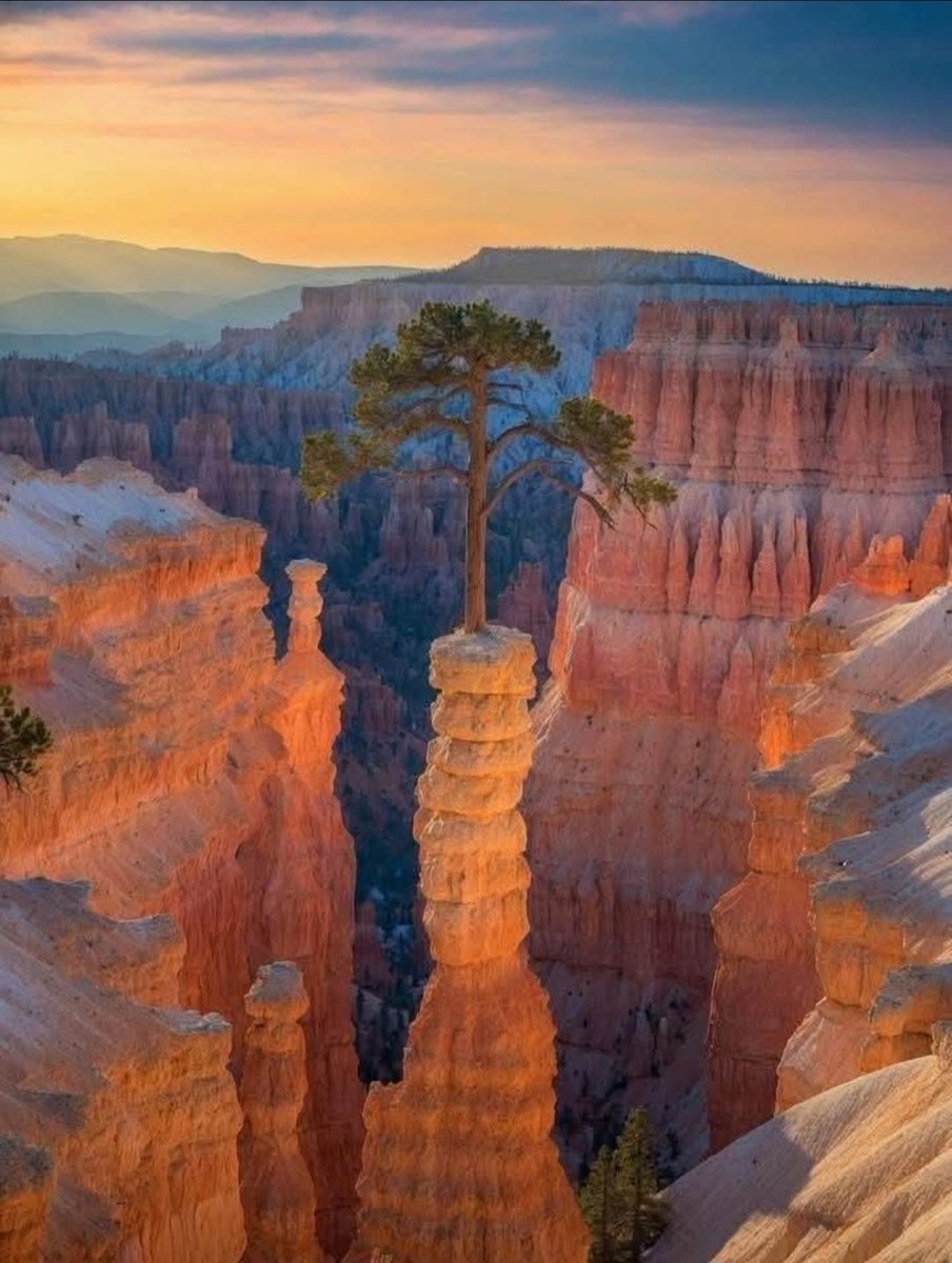 Evening, be the One 🧡🩷🩵💚🌿
Sweet Dreams world 🌐 🌬 🌒 💫