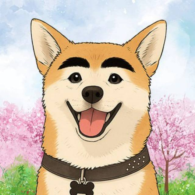 $PACHI IS FOR EVERYONE $HACHI