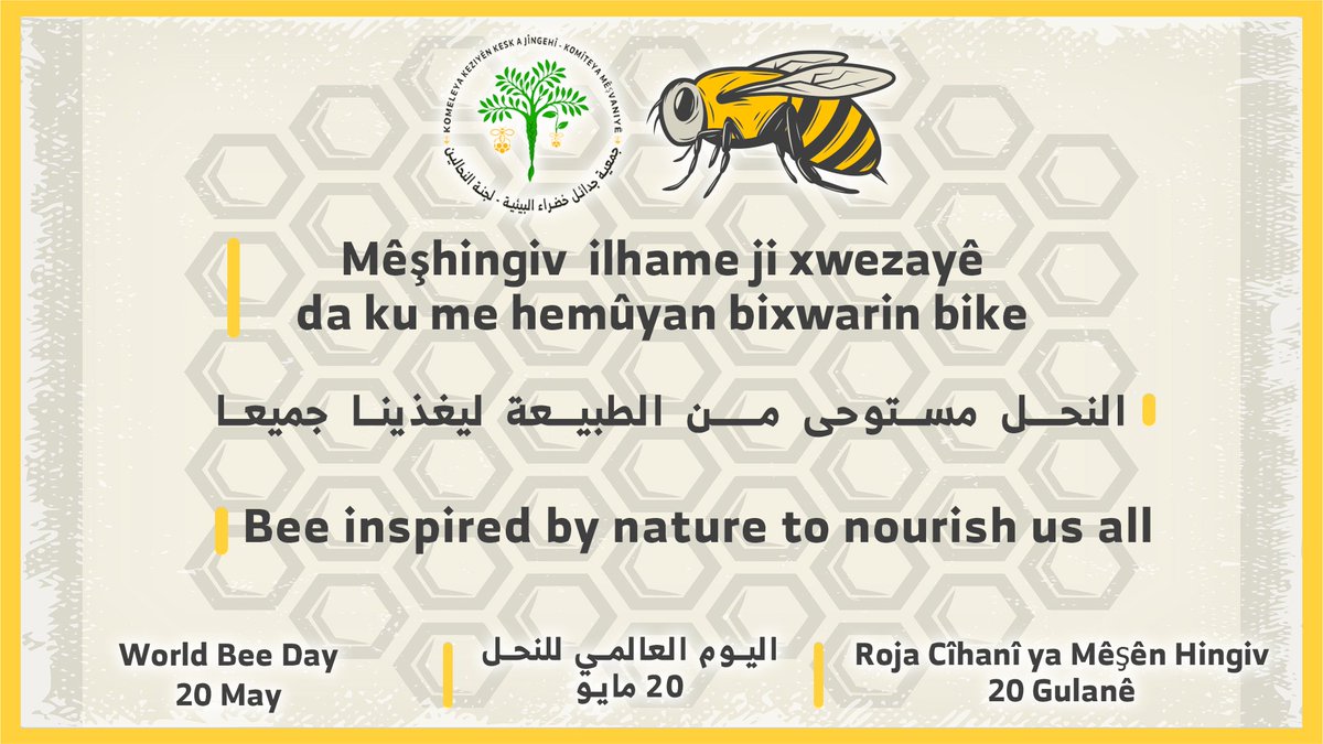 tress_green's tweet photo. Bee inspired by nature to nourish us all
#World_Bee_Day_|_20_May

Mêşhingiv ji xwezayê îlhama xwe digirin da ku me hemûyan bixwarin bikin.
#Roja_Cîhanî_ya_Mêşên_Hingiv #20_Gulanê

#اليوم_العالمي_للنحل| 20 مايو https://t.co/wS2XhbxLKY