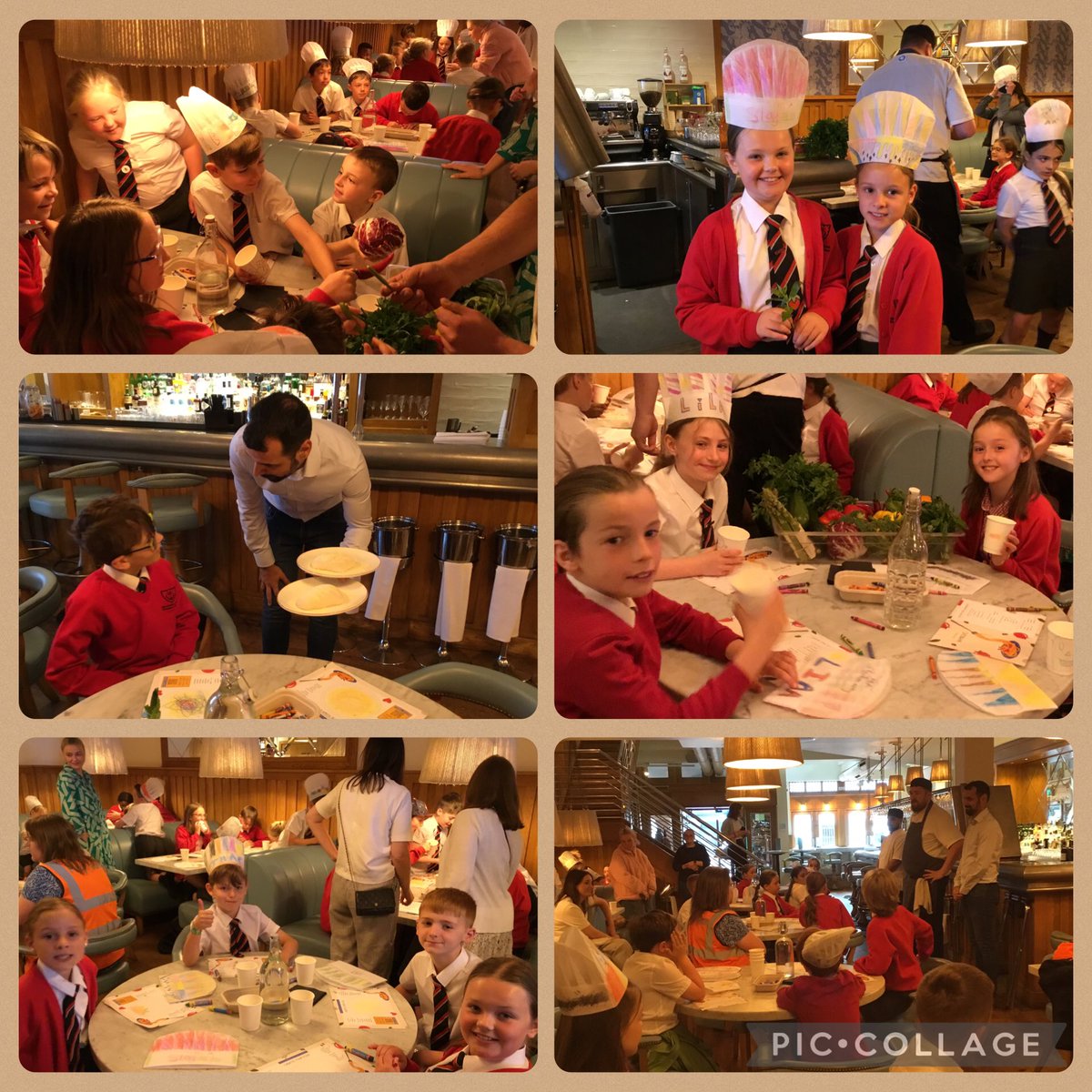 Year 4 SHPS tweet media