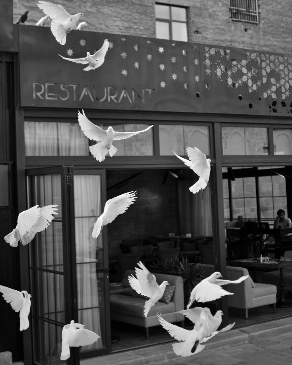 MeridianBird's tweet image. When birds flock, they don&apos;t just pass through. They linger. This creates a ripple effect of problems, including these five issues:
👉 bit.ly/BirdFlockBehav…
#BirdControl #FlockingBehavior #FacilityRisk #CommercialBuildings