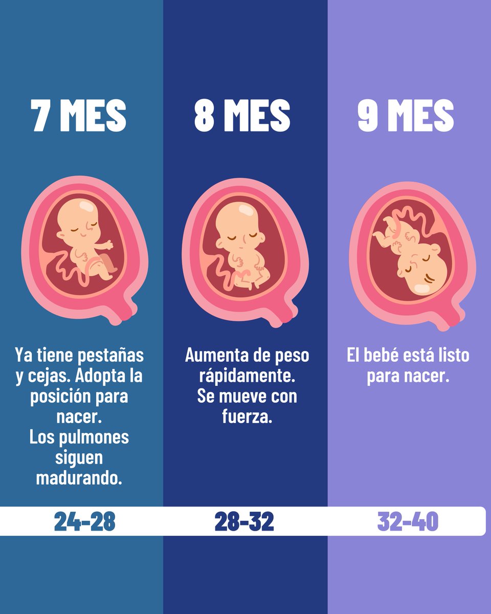¡Acompaña el desarrollo de tu bebé en cada etapa! En cada control de embarazo tendrás la oportunidad de conocer cómo crece tu bebé, mientras recibes atención, cuidados personalizados y consejos para asegurar que ambos estén saludables. 
#LaNuevaInfancia #EcuadorSinDesnutrición