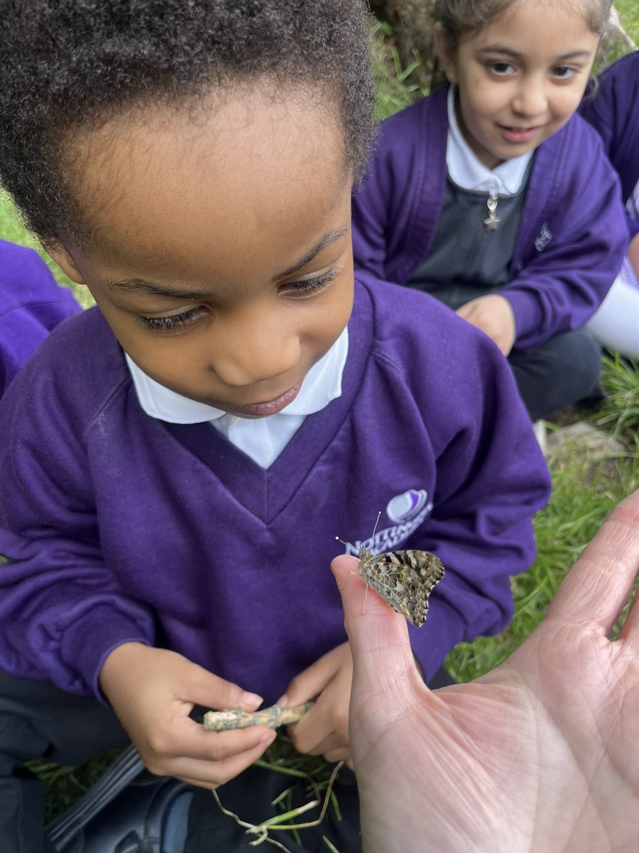 Such excitement in Nursery when the children got to release the butterflies they have been looking after for 3 weeks. The children have enjoyed observing each stage of the lifecycle of a butterfly and were thrilled that the butterflies landed on them before flying away!🔎🦋🐛