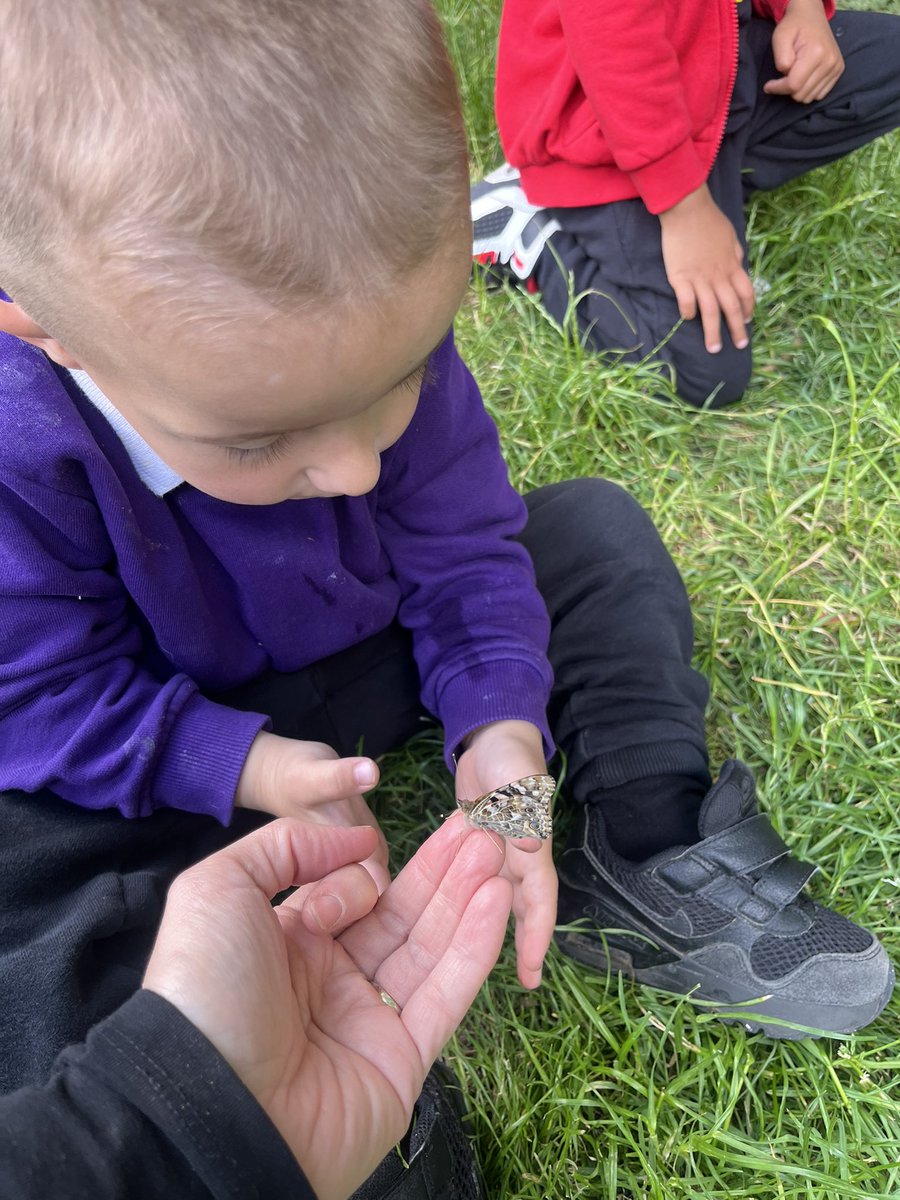 Nottingham Primary Academy tweet media