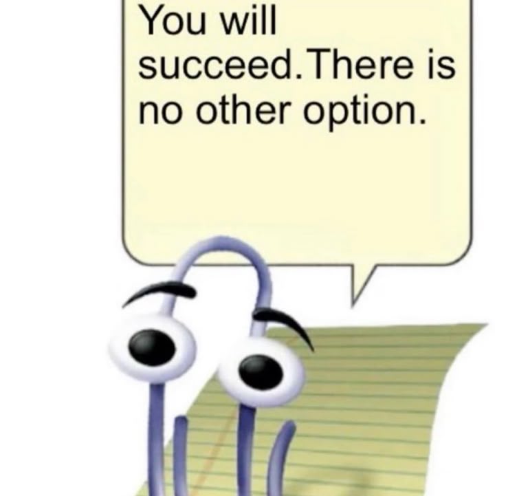 Steph, CPA by Oct 2026 tweet media