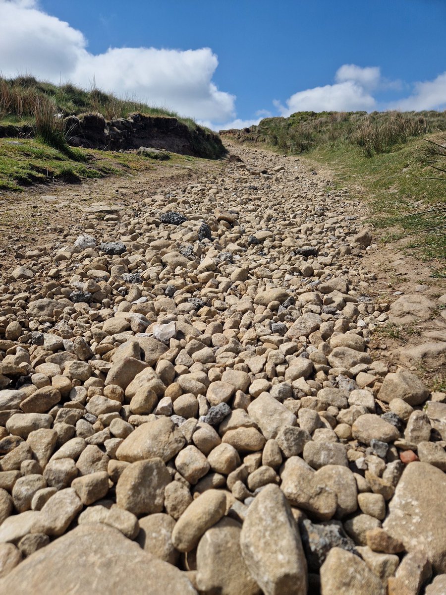 Sweary Prof tweet media