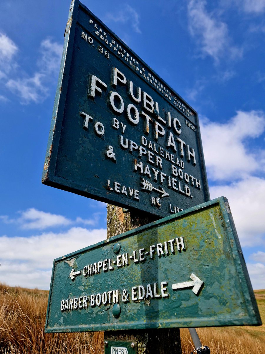 Sweary Prof tweet media