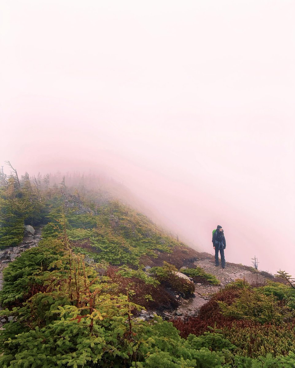 Misty, moody mountain Monday. 📸 _elo.cote

#whitemountains #mountainmonday #hikethewhites #wildlyresponsible #discoveryournew #visitnh #whitemountainsnh