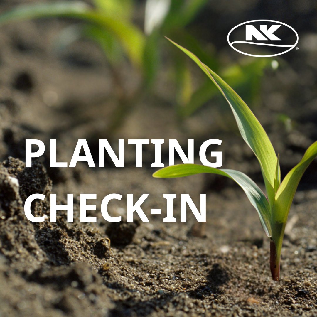 How is #PlantNK25 going, everyone? Drop an emoji to share where you're at on your acres:
💪 Going Strong
🤩 Almost There
😎 Crushed It