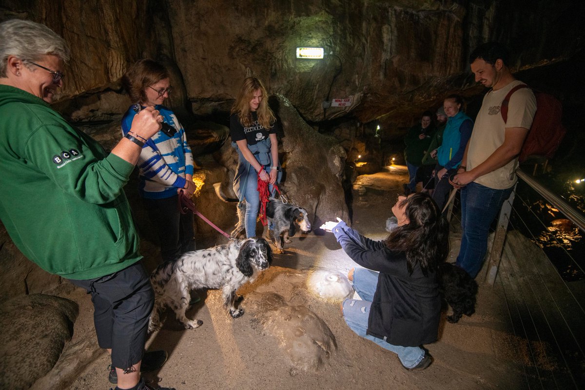 Poole's Cavern & Buxton Country Park tweet media