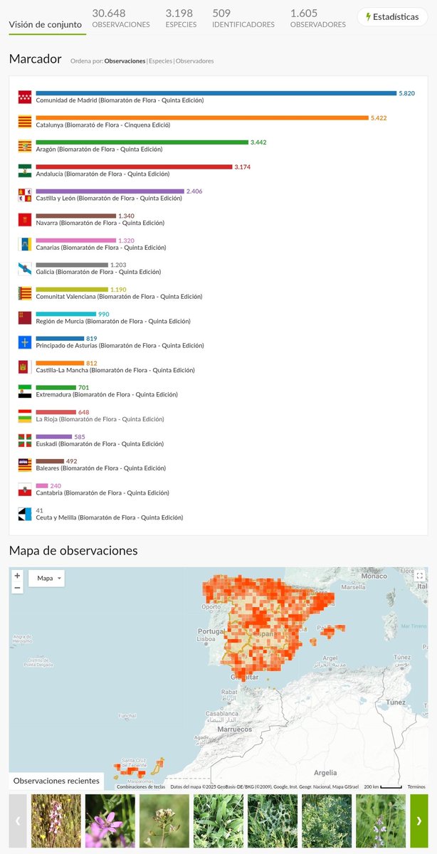 biomaraton's tweet photo. ¡Finalizado el #VBiomaratón, tenemos unas 3.200 especies registradas! Destacan las contribuciones de Cataluña, Comunidad de Madrid, Aragón, Andalucía y Castilla y León. Aún podéis seguir subiendo vuestras observaciones de los días 15-18 de mayo. ¡GRACIAS!

https://t.co/QyfgMkhuvy https://t.co/gj3zKK1gSm