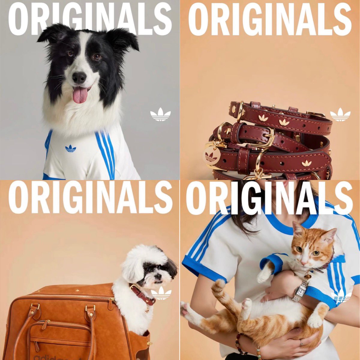 adidas Originals のペットコレクションが登場 【アディダス 新作
