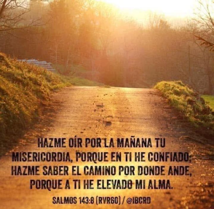 Que sea una semana de Muchas Bendiciones para todos ...🌍✨✨✨🌅👆🙏