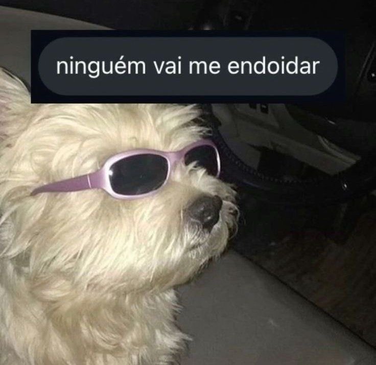 meta da semana