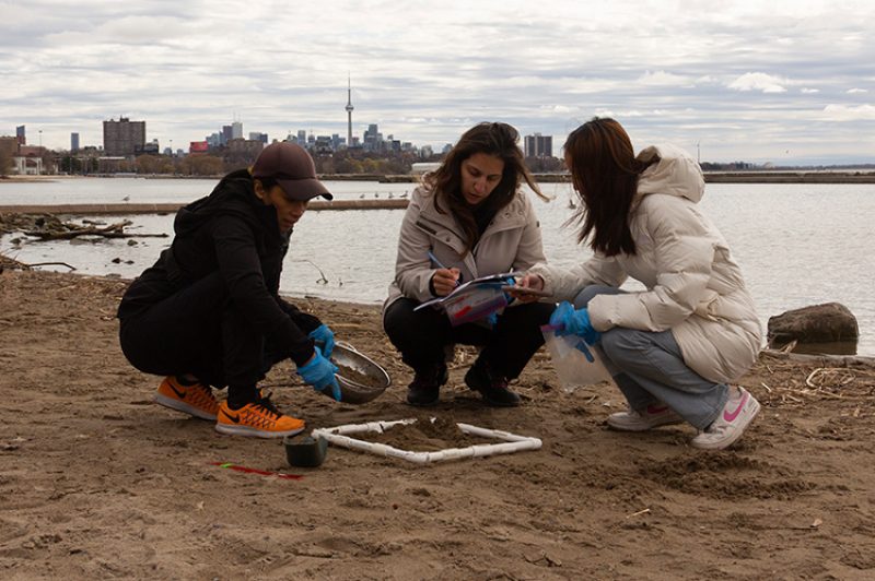 To mark Earth Day in April, <a href="/LongosMarkets/">Longo's</a> team members joined the <a href="/UofT/">University of Toronto</a> Trash Team for a team cleanup at Toronto's Sir Casimir Gzowski Park Beach. The cleanup focused on collecting pre-production plastic pellets that had washed ashore.

wasterecyclingmag.ca/education/u-of…