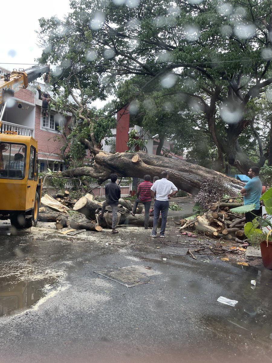 Collateral #BengaluruRains