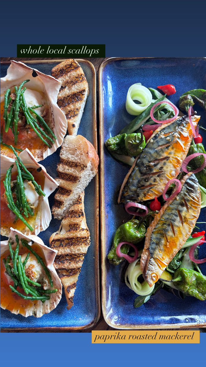 The Fisherman’s Arms Newlyn tweet media