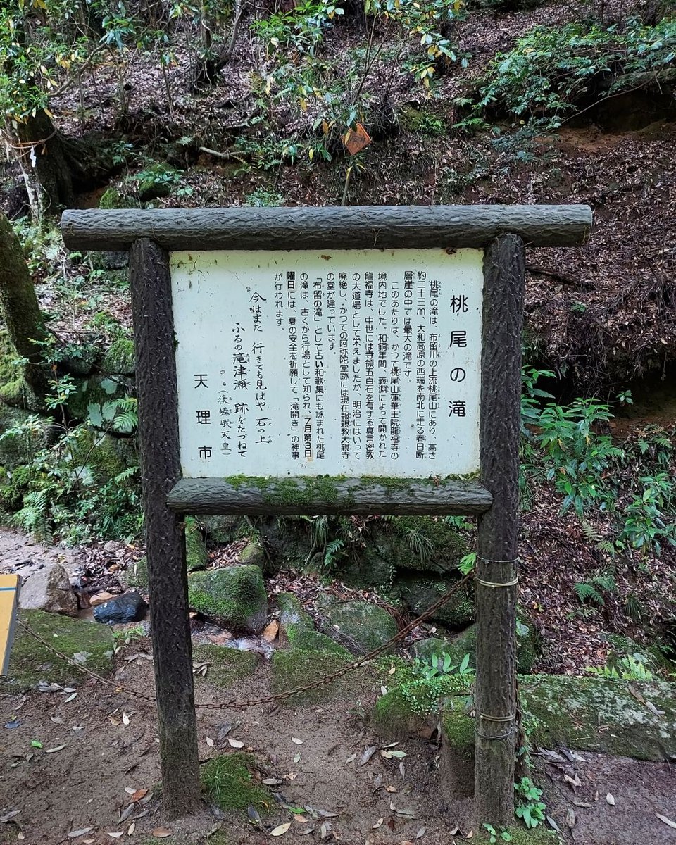 lenten_monkey's tweet photo. マイナスイオンを浴びて癒されました https://t.co/QSHBXx92AL