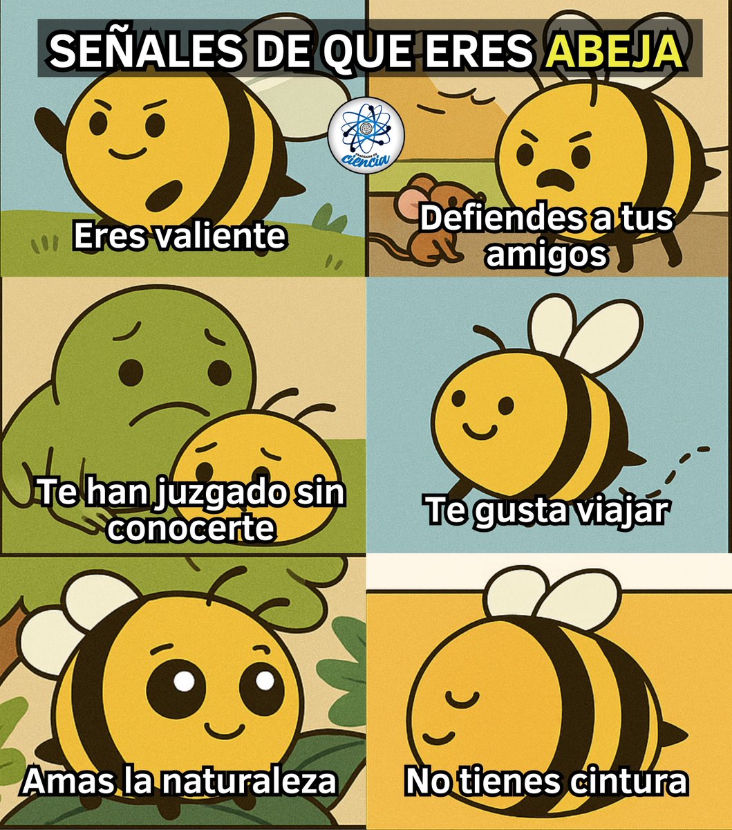 👌👌
